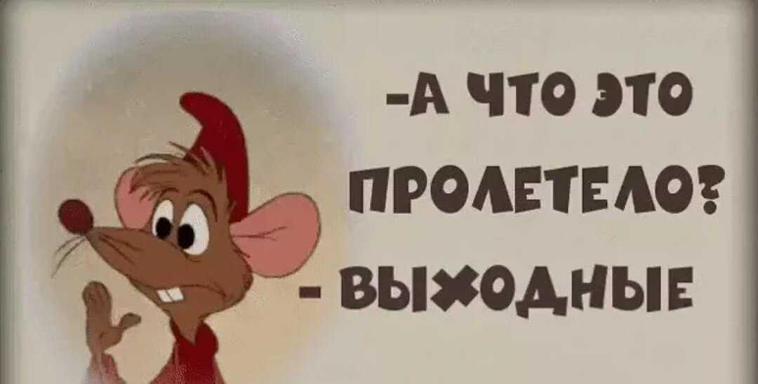 Как в школе дела, что ответить. 95 ответов на вопрос "как дела?