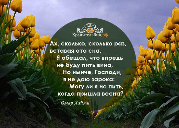Весна в душе цитаты. цитаты про весну и