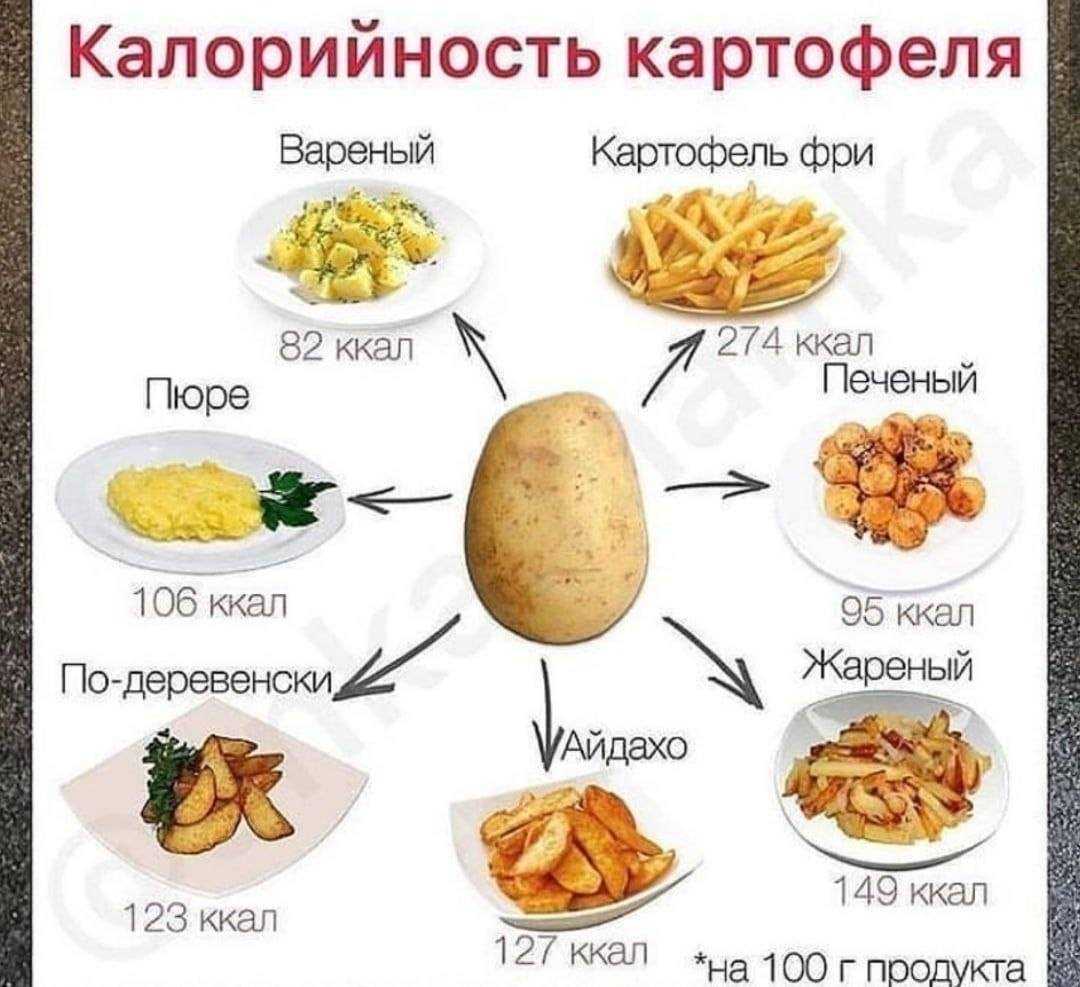 Картофель одна штука сколько грамм