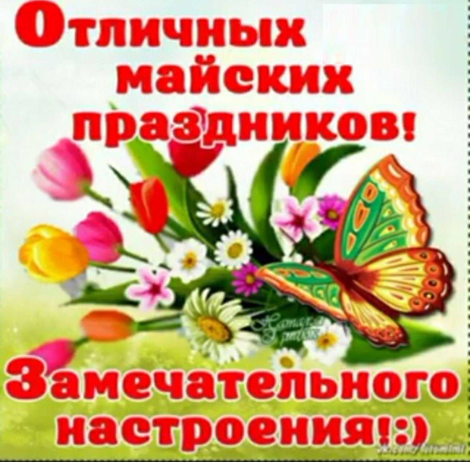 Стихи про май