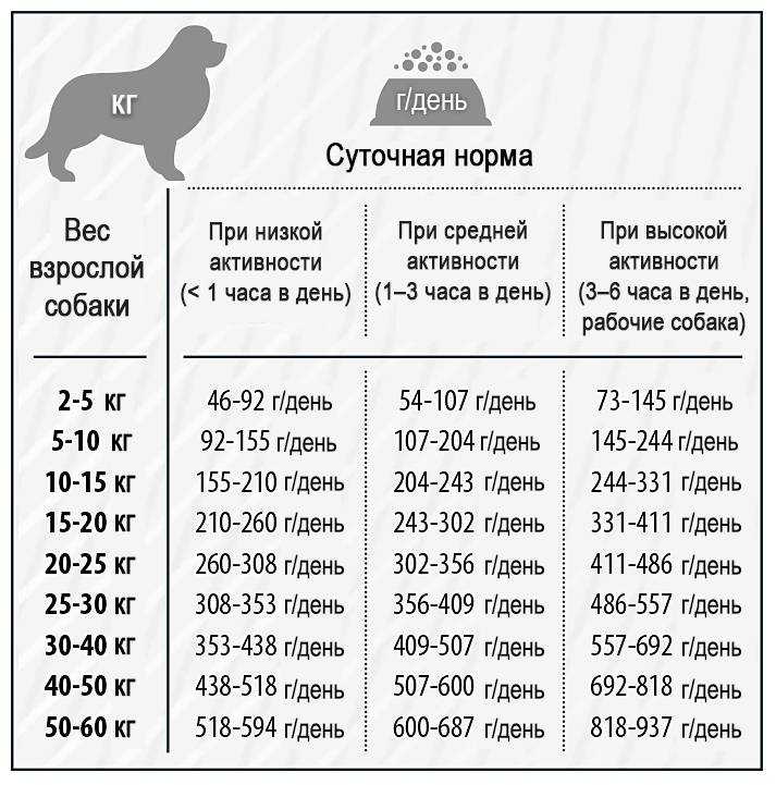 Сколько еды давать собаке в день
