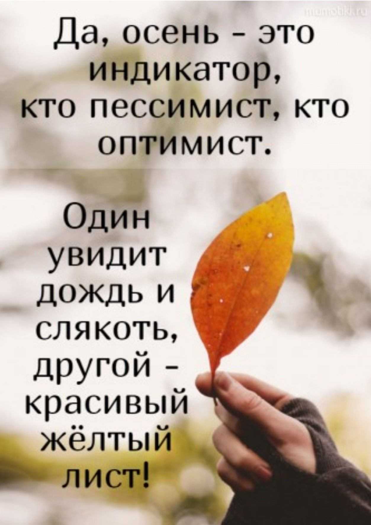 Миллионы женщин любят осень… цитаты и афоризмы про осень и любовь