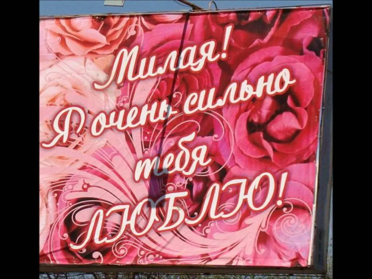 100+ красивых признаний в любви девушке своими словами