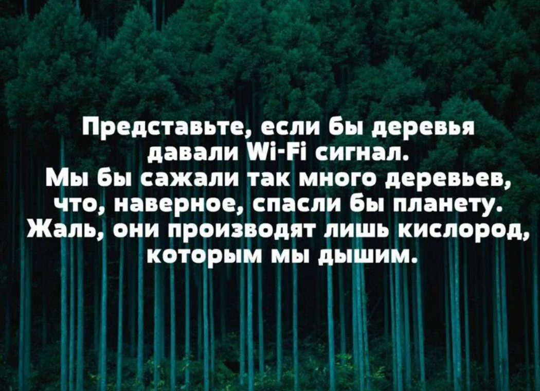 Волшебные статусы о лесе