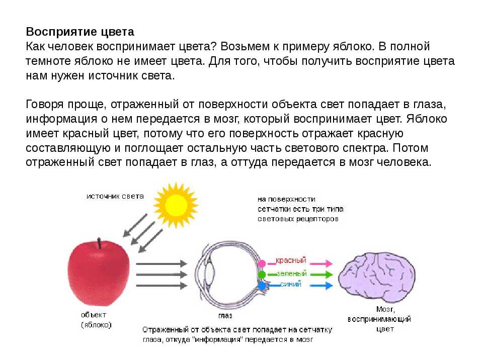 Желтый цвет в психологии — что означает для женщины, мужчины, ребенка