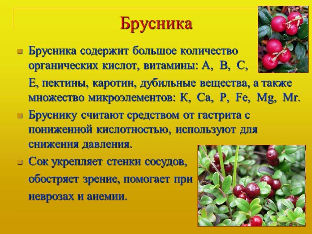 Клюквенный, брусничный, морс из калины – источники здоровья. полезные свойства, возможный вред и калорийность морсов из ягод - автор екатерина данилова - журнал женское мнение