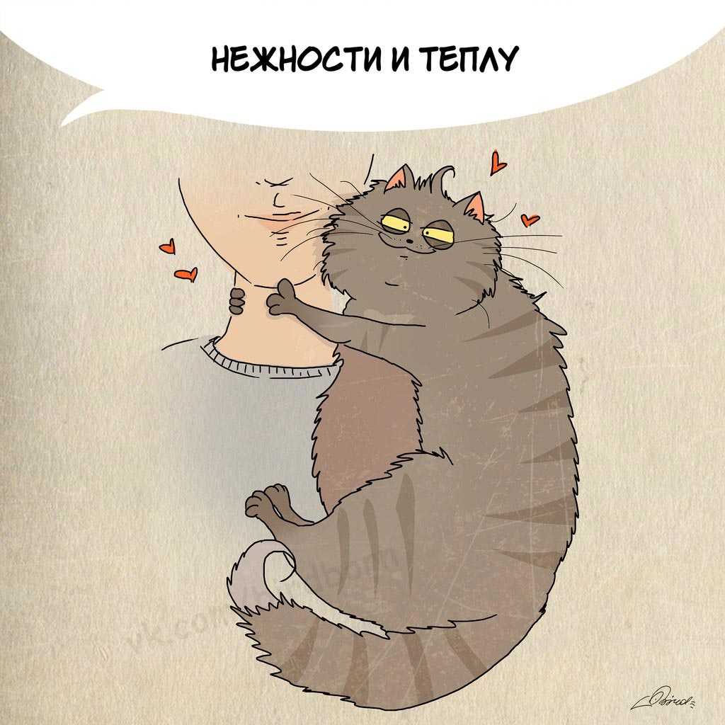 10 секретов красоты и стиля от итальянок — попробуйте, и вы себя не узнаете