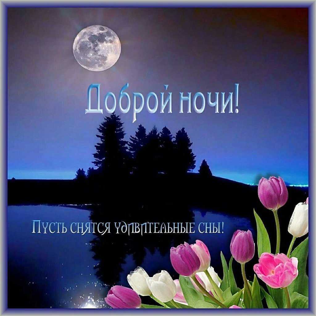 Пожелание спокойной ночи женщине в стихах красивые