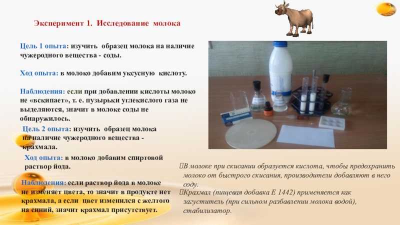Как проверить качество молока в домашних условиях