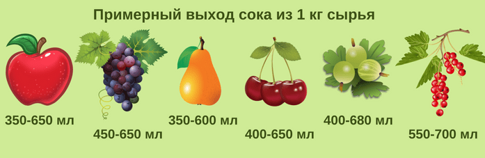 Сколько литров сока из 1 кг яблок - узнайте, сколько фруктов нужно для приготовления сока!