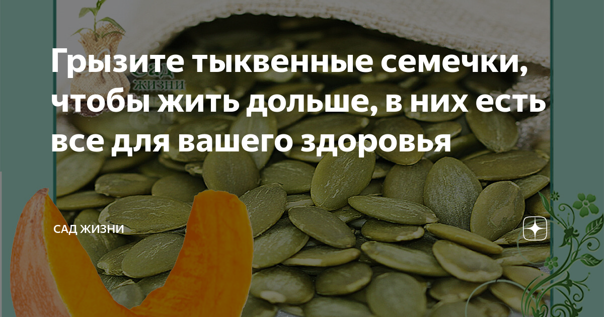 Тыквенные семечки: калорийность и бжу всех способов приготовления