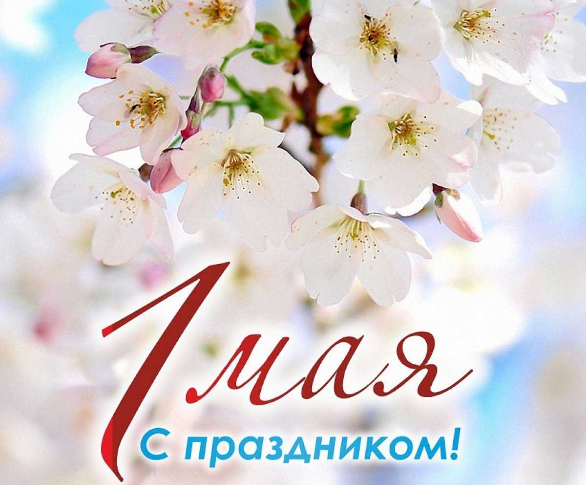 Про месяц май: стихи, цитаты, шутки и многое другое...