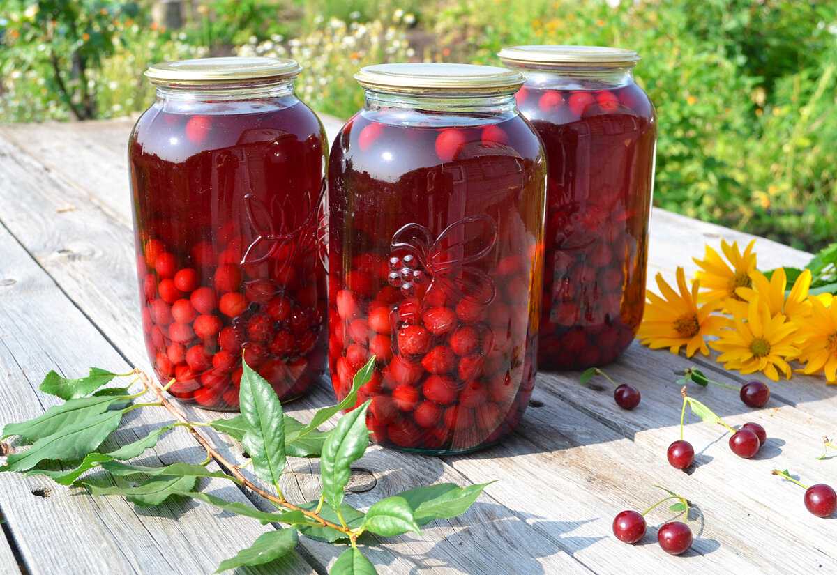Яблочный компот. лучшие рецепты компота из яблок на зиму