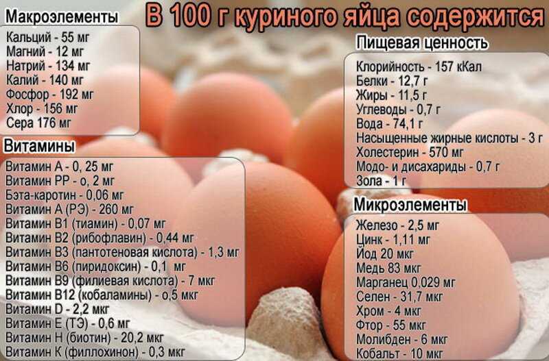 Соотношение белков, жиров и углеводов в яйцах