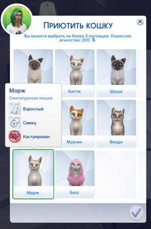 The sims 4: как завести кошек и собак, как вылечить питомцев — 64 бита