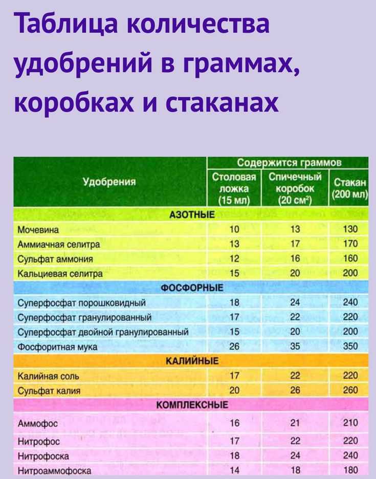Сколько весит один орех кешью в граммах — онлайн порада