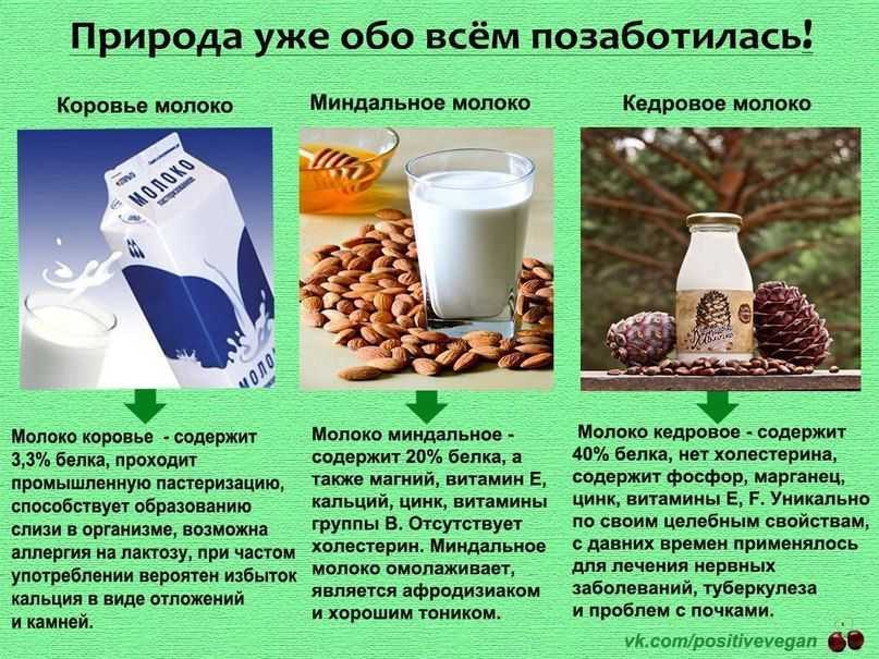 Миндальное молоко: польза и вред, как приготовить, рецепты