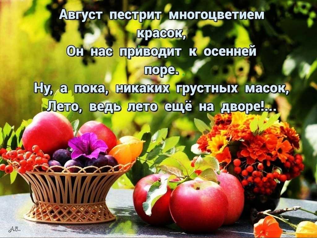 Статусы в вк про август. самые лучшие статусы про август. летние ночи, ждем вас очень
