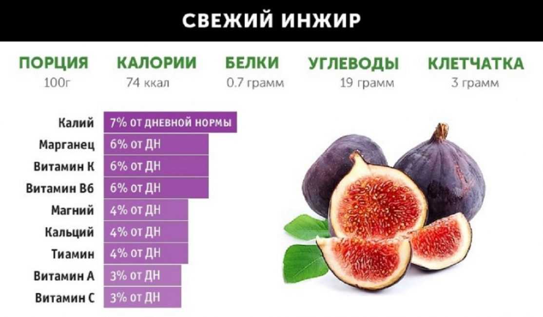 Инжир сушеный, как правильно есть, сколько плодов можно съедать в день