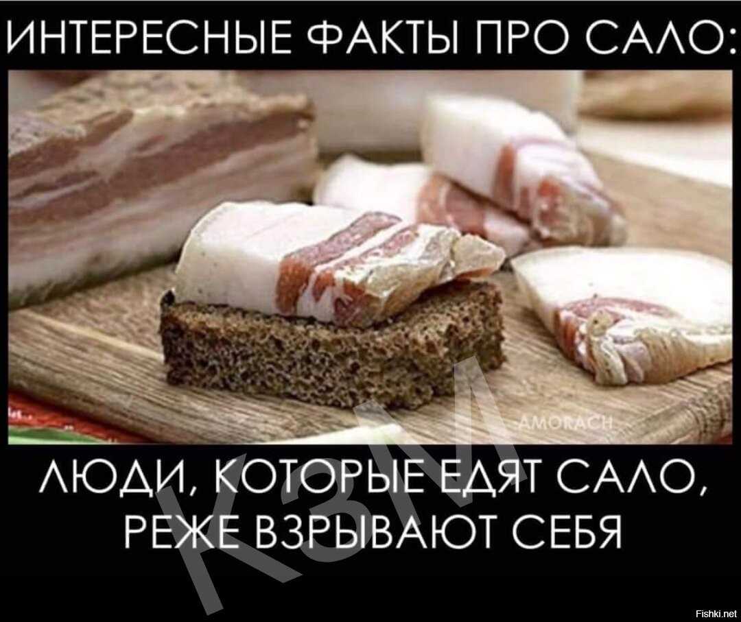 Рецепты из остатков продуктов | ecoizm.org