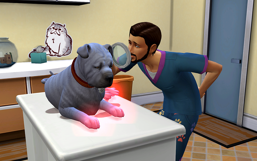 The sims 4 кошки и собаки: гайд по созданию ветеринарной клиники | wowmoon
