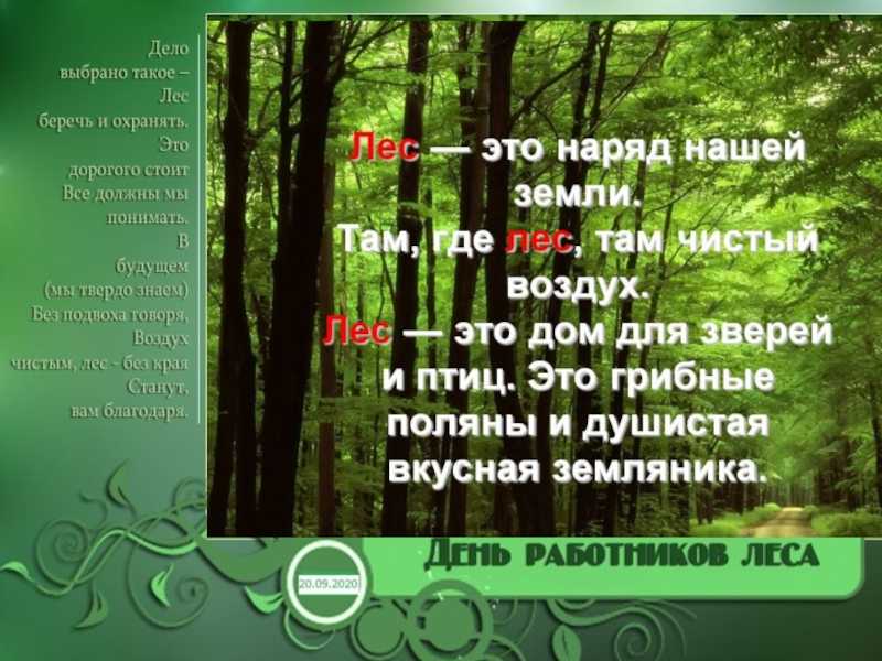 Цитаты и подписи про осень для инстаграм
