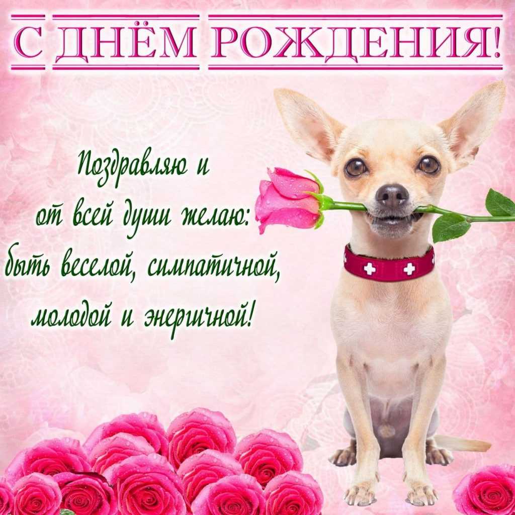 Поздравления с днем рождения любимой девушке