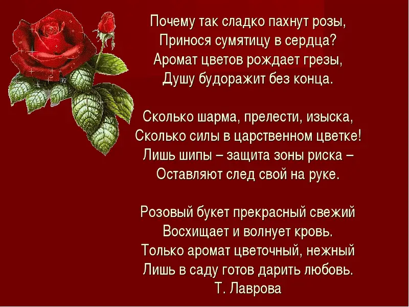 Любимый хит Белые розы написанный основателем Ласкового мая и его первым руководителем Сергеем Кузнецовым песня не о цветах а о людях