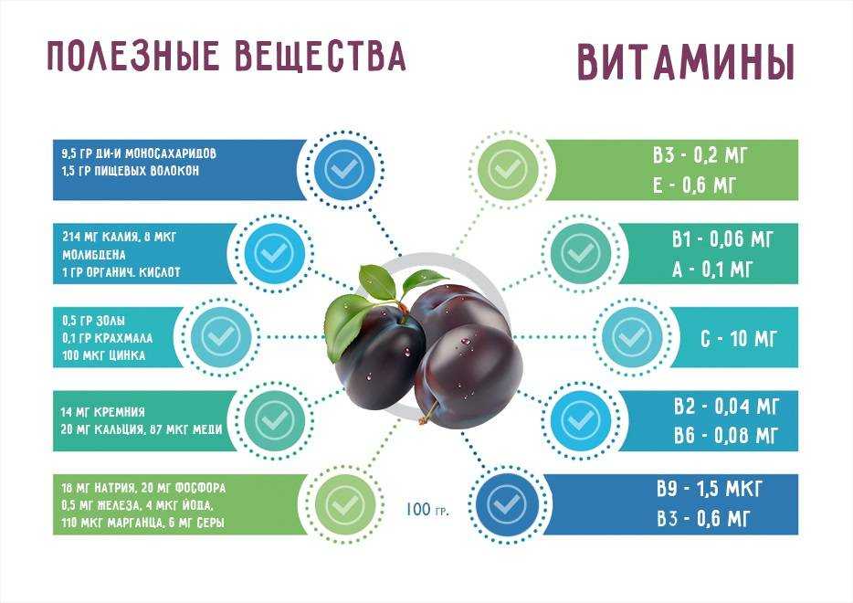 Пищевая ценность, польза и калорийность варенья