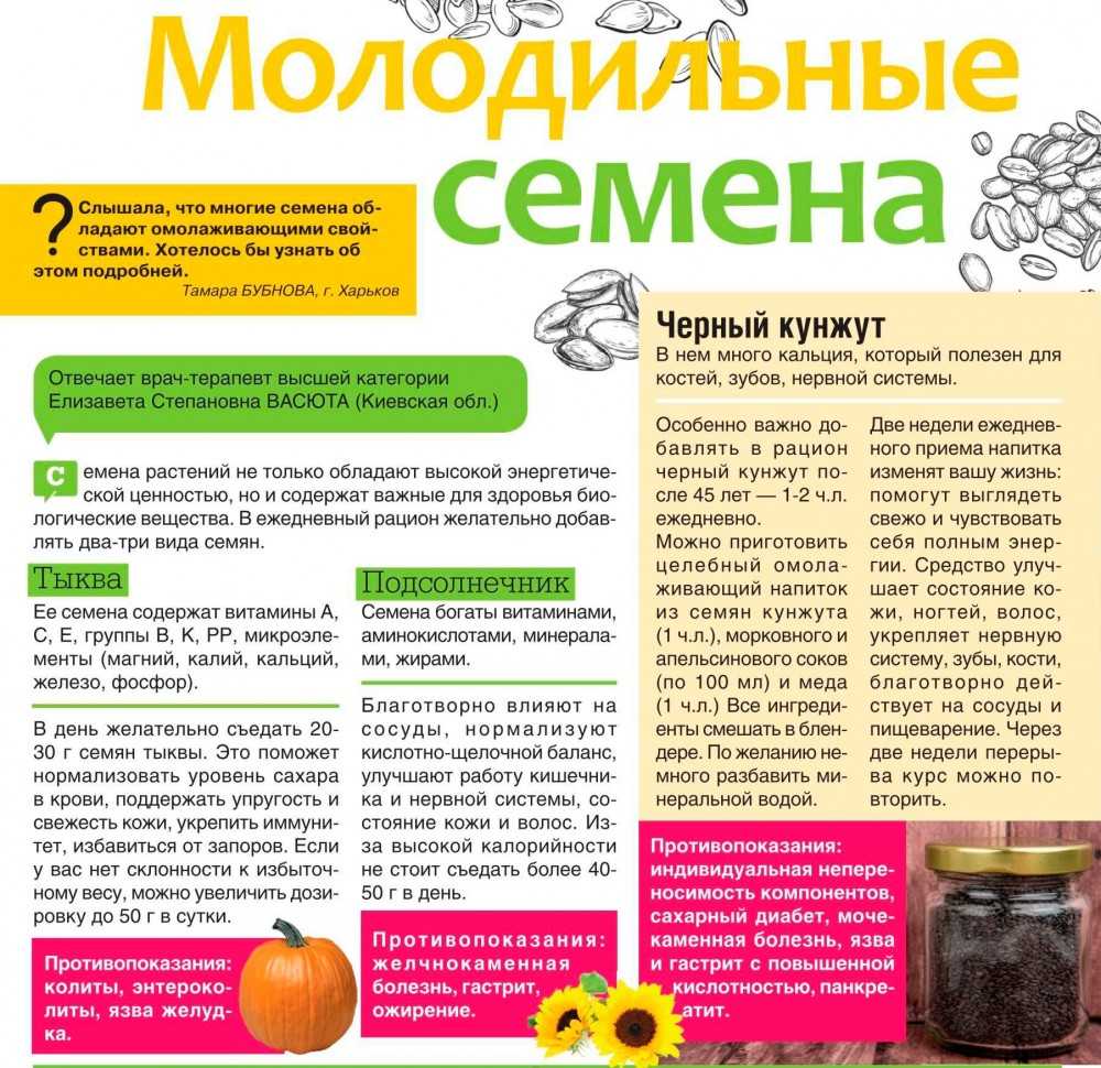 Что произойдет с вашим телом, если каждый день есть семена тыквы? :: инфониак