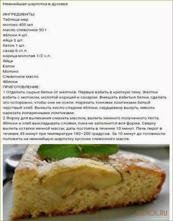 Шарлотка с яблоками в духовке — 10 рецептов шарлотки с пошаговыми фото