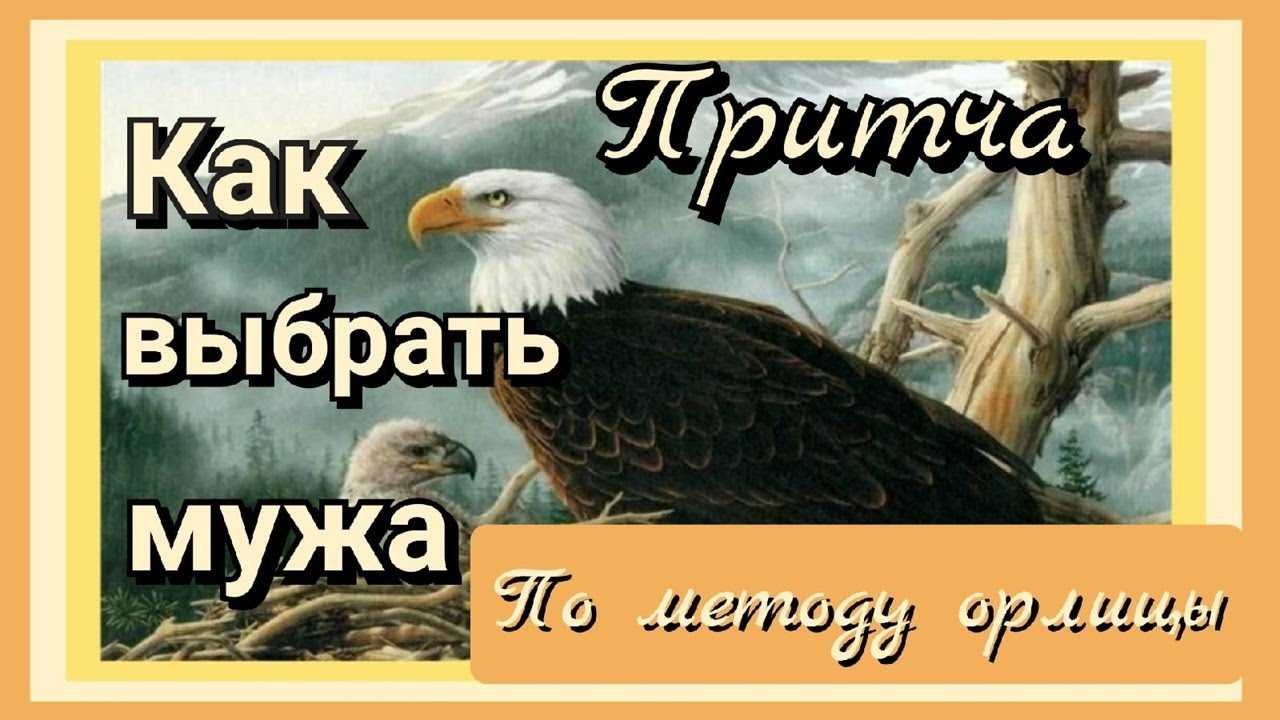 Как орлица выбирает отца для своих орлят