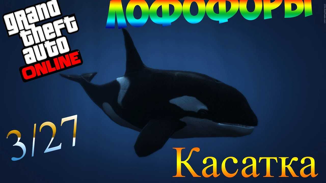 Как купить касатку в ГТА 5