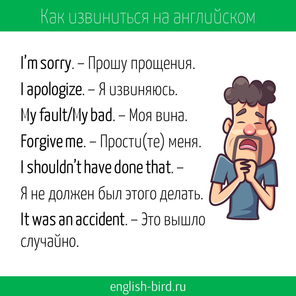 20+ фраз, как ответить на извинения в любой ситуации :: инфониак