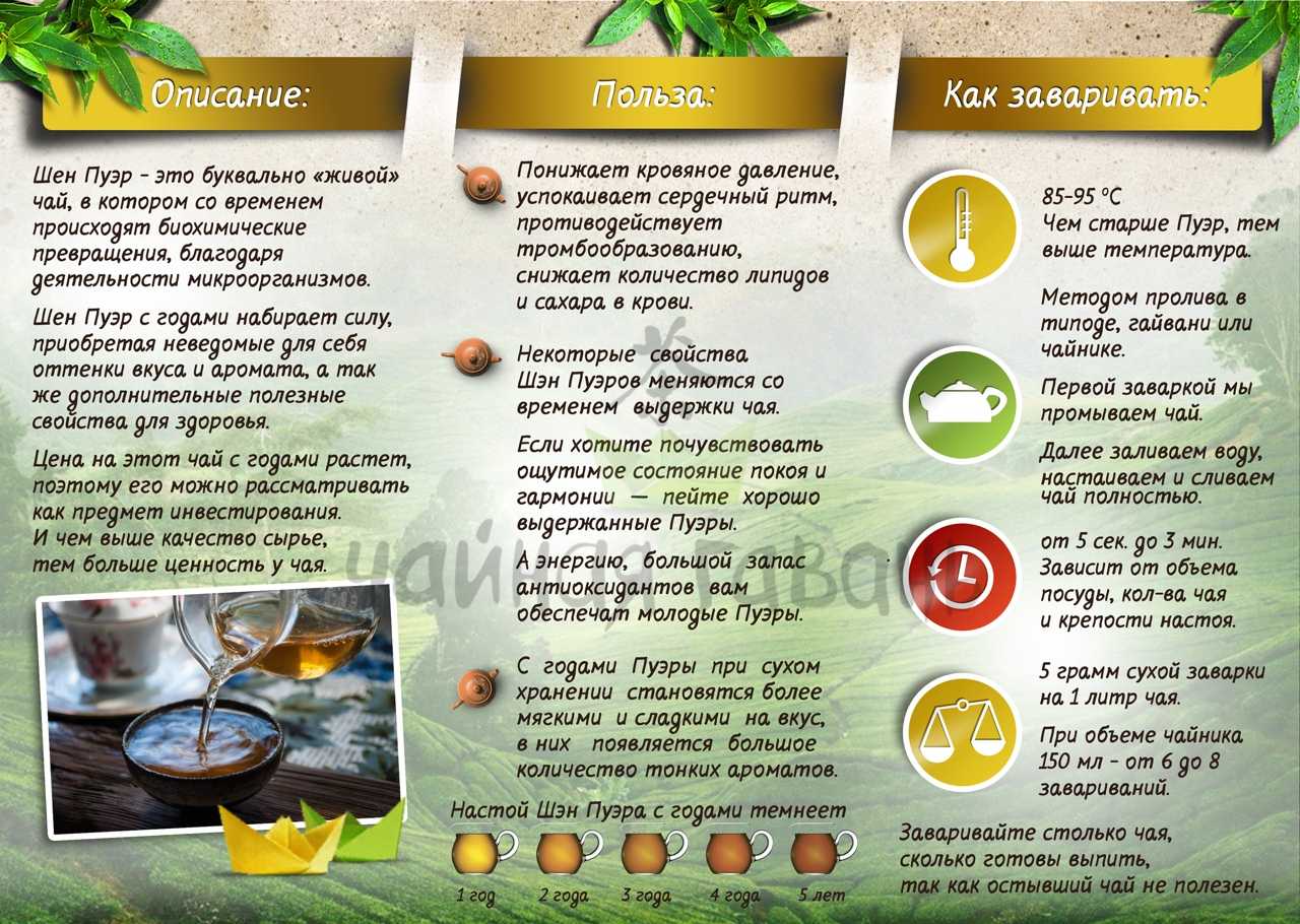 Как правильно заваривать чай
