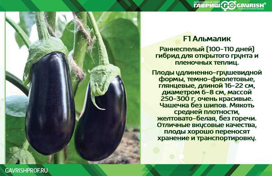 Баклажанная закуска на зиму - светлана владимировна солдатова