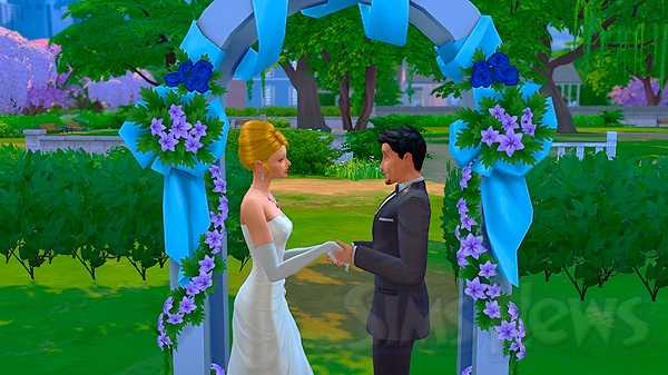 How to steal in sims 4?