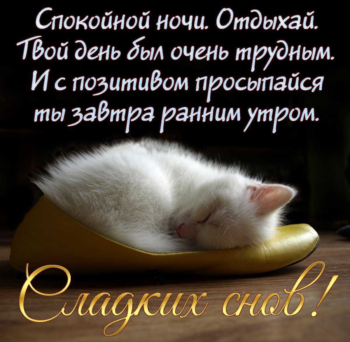 Как ответить на спокойной ночи парню