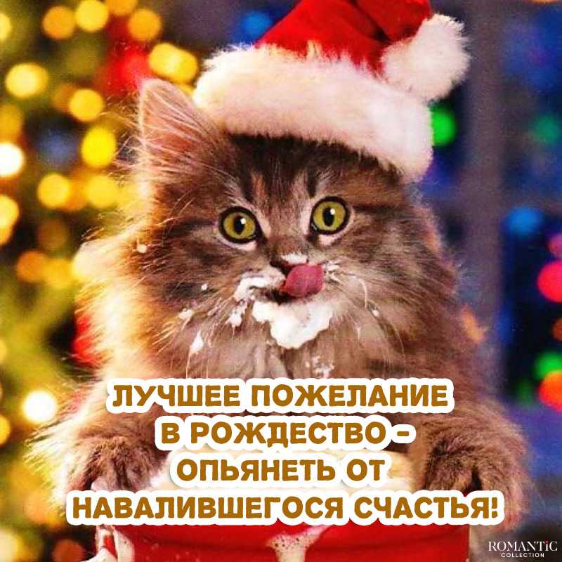 Волшебная подборка красивых фраз и статусов цитат и афоризмов про Рождество