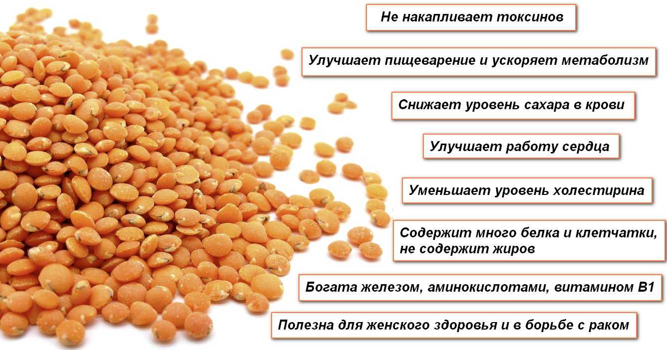 Факты о питании крекеров – drink-drink