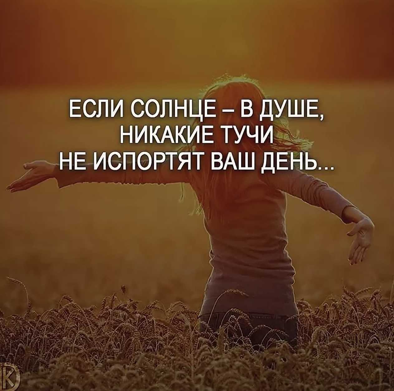 200 самых прикольных статусов - инстаграм гуру - сайт о социальной сети instagramm