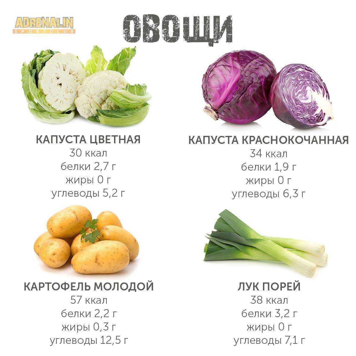 Цветная капуста - состав, калорийность, норма в день, польза