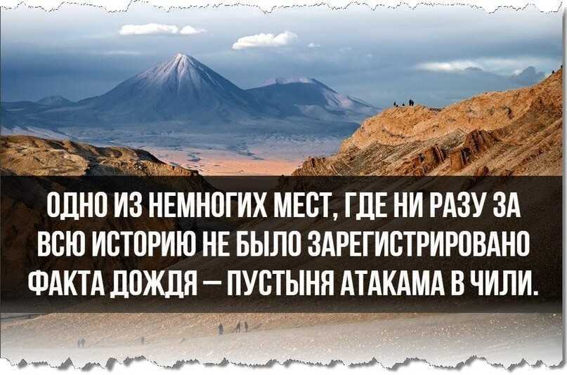 Топ-4 мифов о веганстве. почему отказ от животной пищи не гарантирует крепкое здоровье и идеальную фигуру