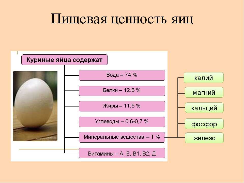 На размер яйца влияет не только размер курицы-несушки