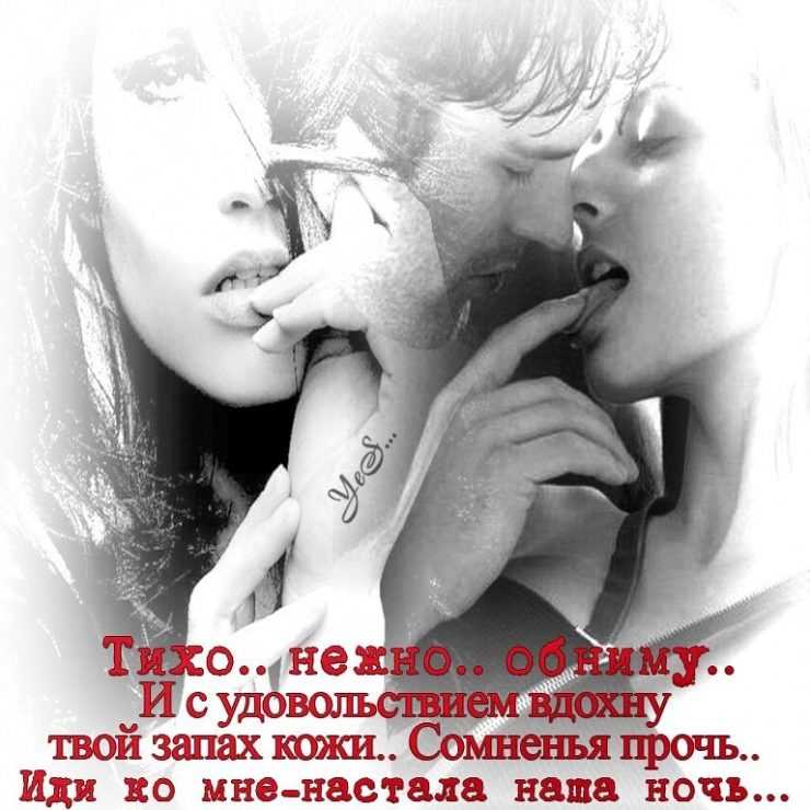 Эротические стихи. эротические стихи