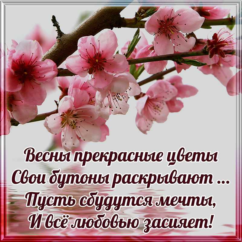 Статусы про весну – красивые, со смыслом, прикольные