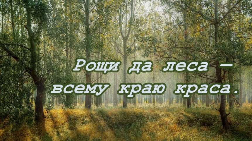 100+ подписей и цитат о путешествиях для instagram, которые разожгут вашу страсть к путешествиям