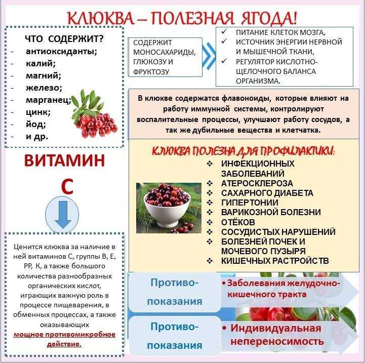 Вкуснейшие рецепты компота из замороженных ягод в кастрюле
