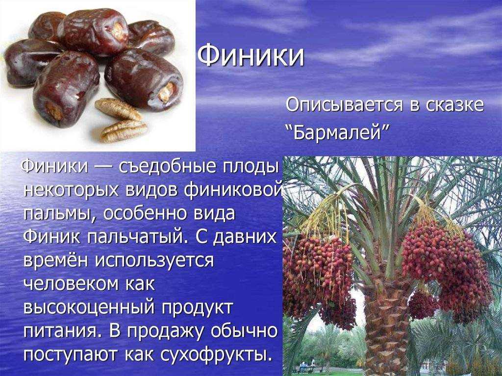Как мыть сухофрукты правильно