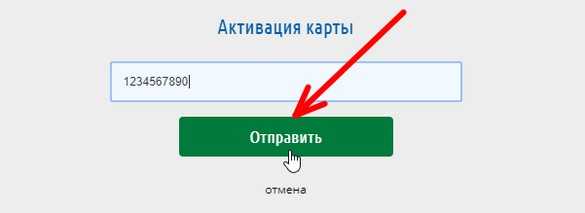 Как начисляются бонусы аптеки «вита», и сколько рублей они стоят?